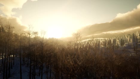 Majestic-Winter-Landscape-Glowing-by-Sunlight